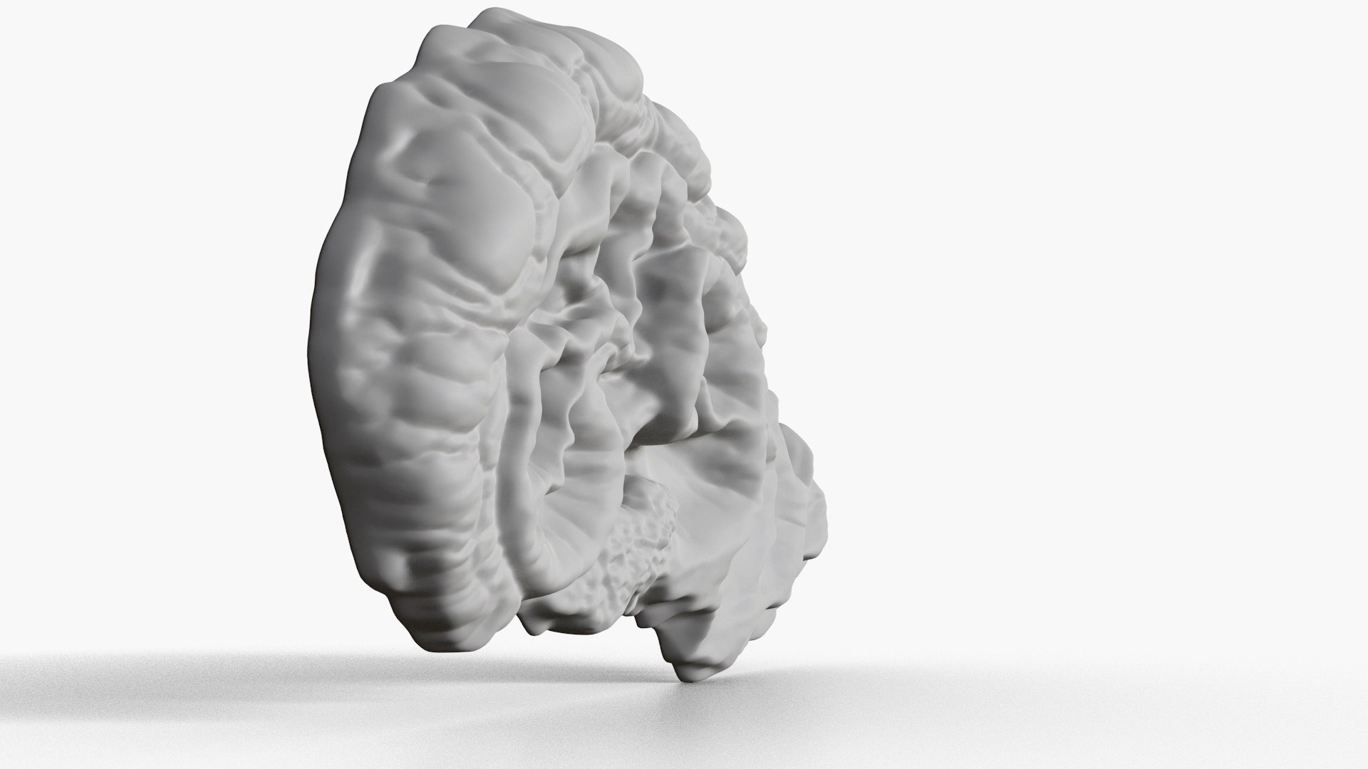 3D Fungus Fossil 14 model https://p.turbosquid.com/ts-thumb/0n/WlwDAQ/ZD/2_fungusfossil14_fullquality_00003/jpg/1730248631/1920x1080/fit_q87/d73aa9a256f1dcce5c91dedae757d9c0618479ec/2_fungusfossil14_fullquality_00003.jpg