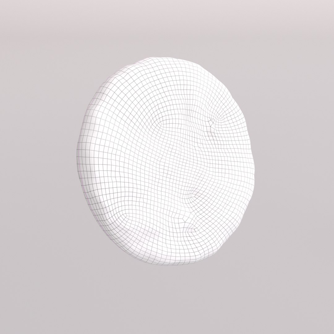 3D Cookie with Oats and Cinnamon https://p.turbosquid.com/ts-thumb/0n/s1HgDJ/7o/oats_cinamon_cookie_wireframe/png/1751626309/1920x1080/fit_q87/7dd6e852d9eae85ecff1032f3b3d4e50a1d9edd1/oats_cinamon_cookie_wireframe.jpg