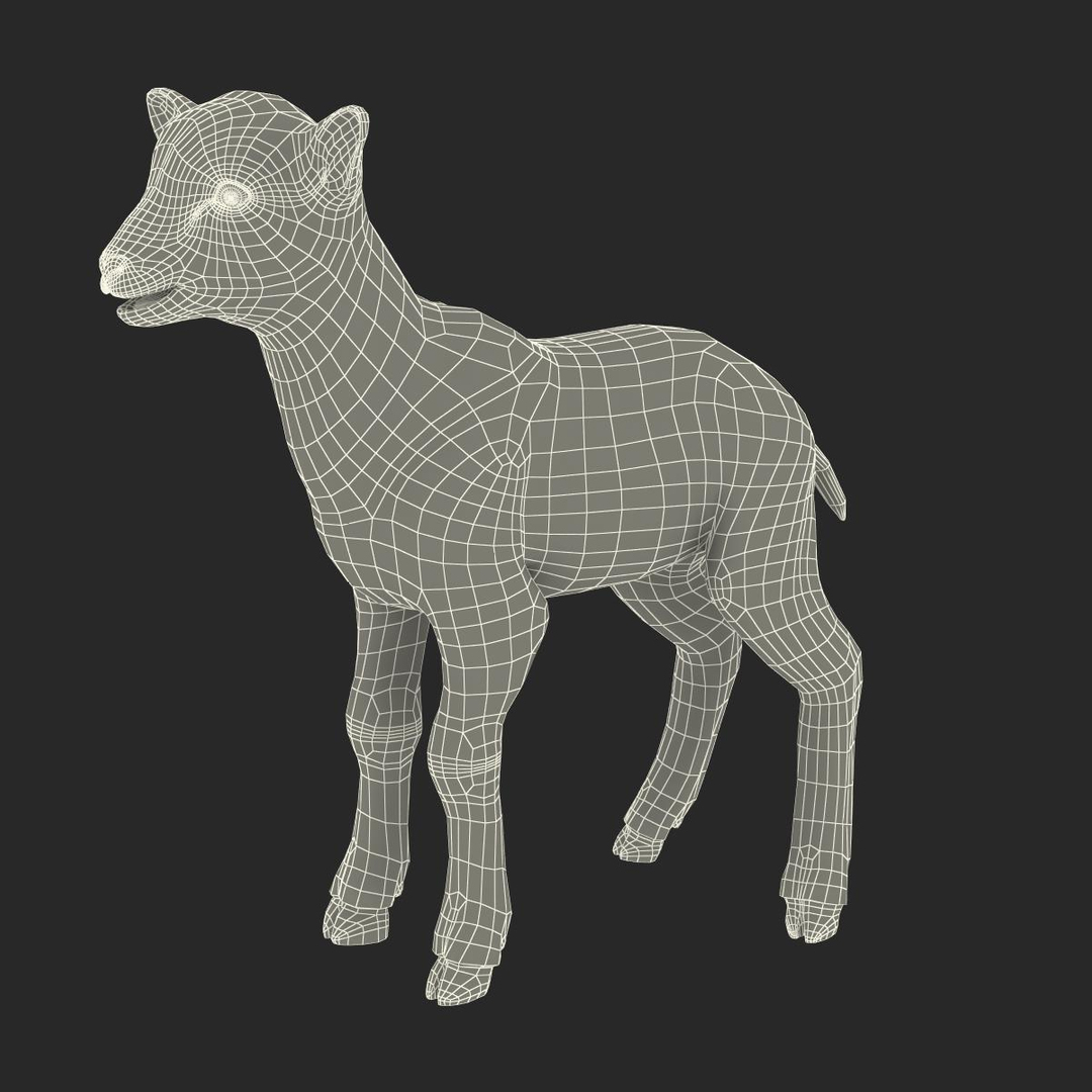 modelo 3d Lamb Rigged for Maya - TurboSquid 1091902