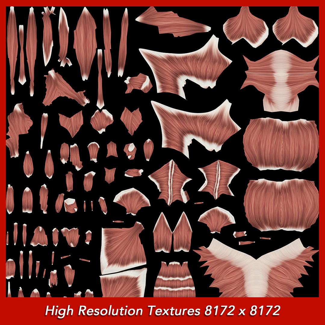 medically anatomically human muscular max https://p.turbosquid.com/ts-thumb/0o/Ah4hxz/G9F9FDhx/muscles_uvs_01/jpg/1302532346/1920x1080/fit_q87/59964831d84c5ef3501ea34f9142340cae143449/muscles_uvs_01.jpg