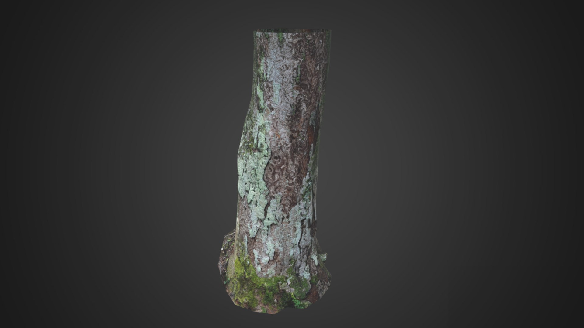 Game Ready Moss Tree Trunk 3D Model - TurboSquid 2020625