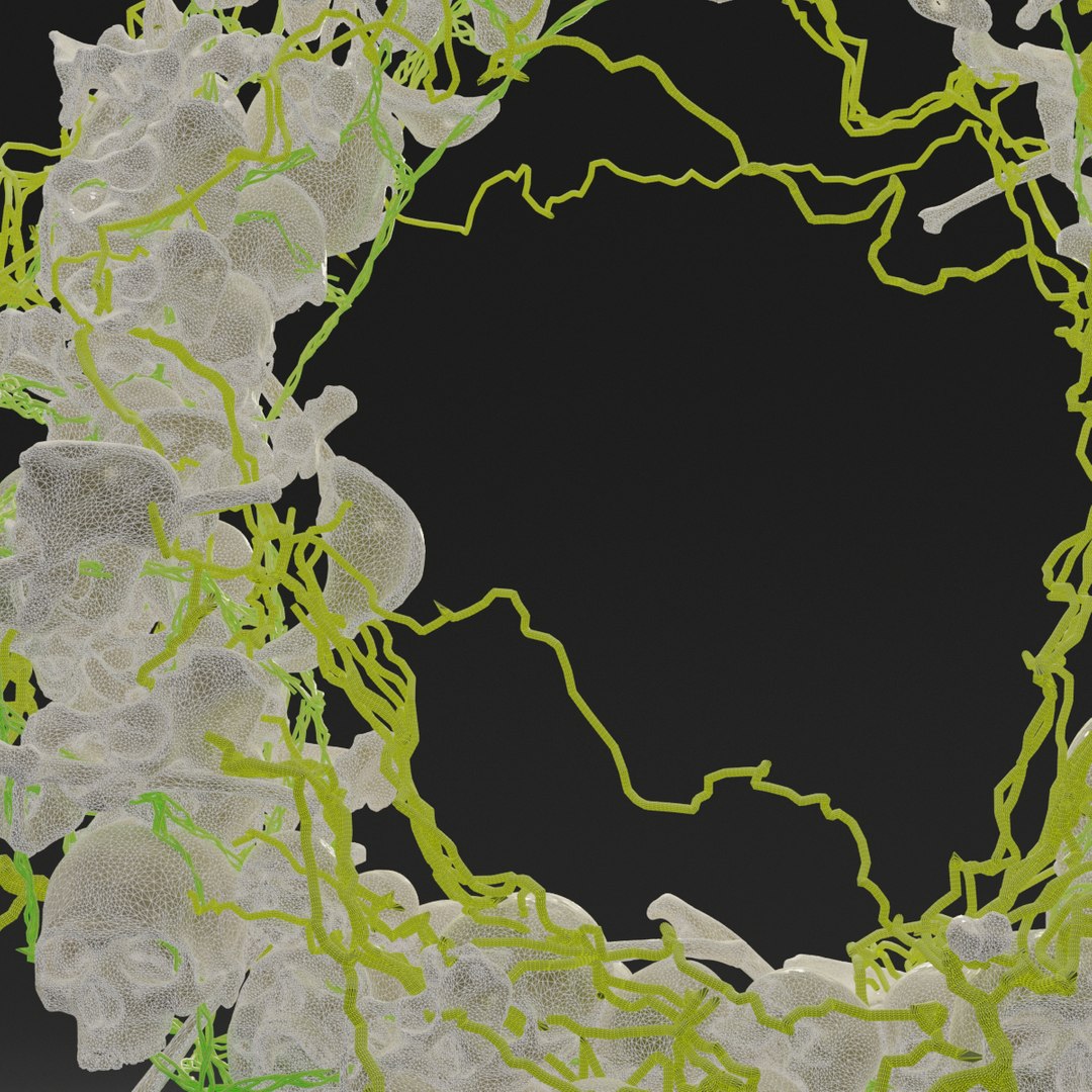 letter o bones skeleton 3D https://p.turbosquid.com/ts-thumb/0o/SSF2yj/LDOPv6zG/wireframe0015/png/1587552525/1920x1080/fit_q87/44a8af2ef8d3b0a560da770421ee391b1e02c84f/wireframe0015.jpg