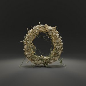 letter o bones skeleton 3D