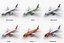 Airbus A320 Collection