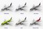 Airbus A320 Collection