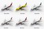 Airbus A320 Collection