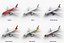 Airbus A320 Collection