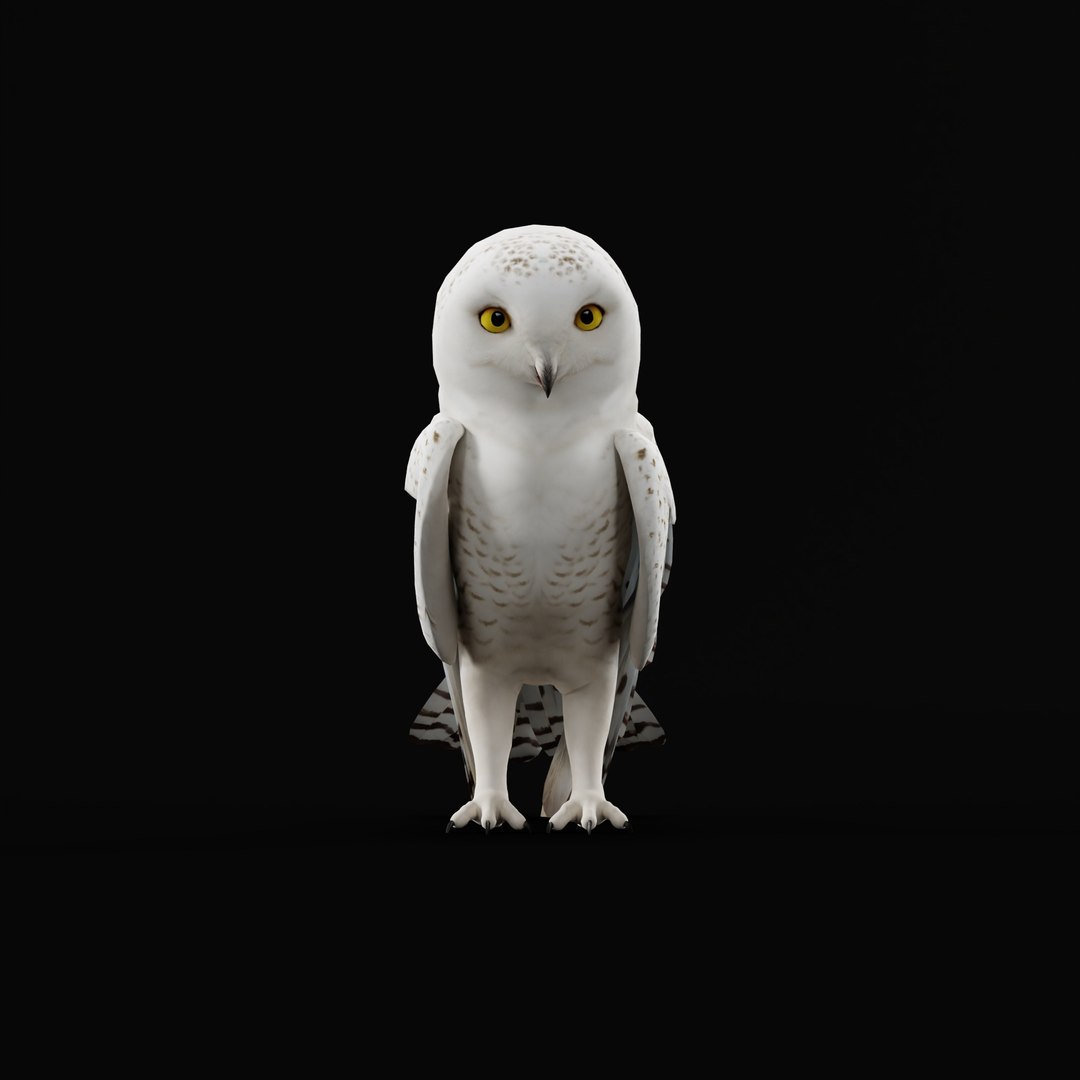 Snowy Owl 3D model https://p.turbosquid.com/ts-thumb/0o/adAI8F/I3/snowyowlarmature_0000/jpg/1765278295/1920x1080/fit_q87/b27e014af2114deff599e7ca5f378588876a3c7c/snowyowlarmature_0000.jpg
