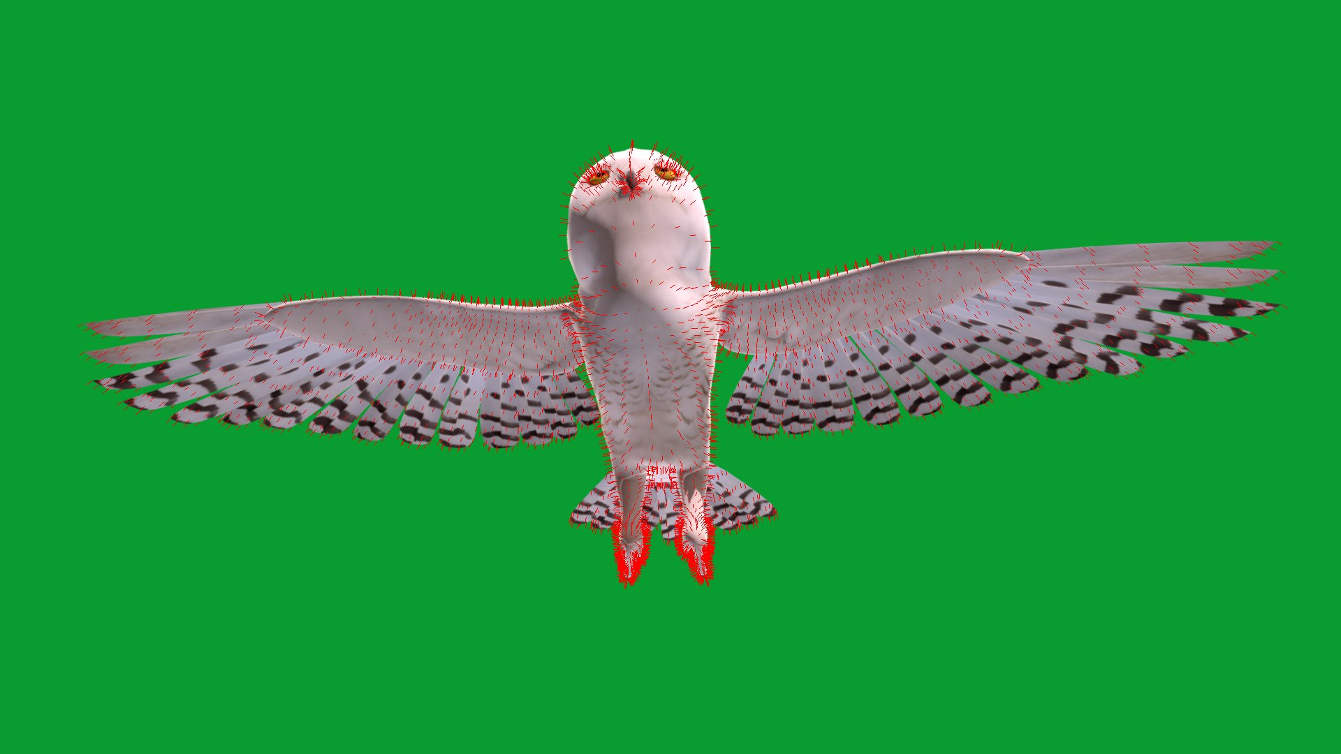 Snowy Owl 3D model https://p.turbosquid.com/ts-thumb/0o/adAI8F/L0/snowy_polar_owl_bird22/png/1765278658/1920x1080/fit_q87/545f34449e231df41dd546ab79cb1a6406dfe780/snowy_polar_owl_bird22.jpg
