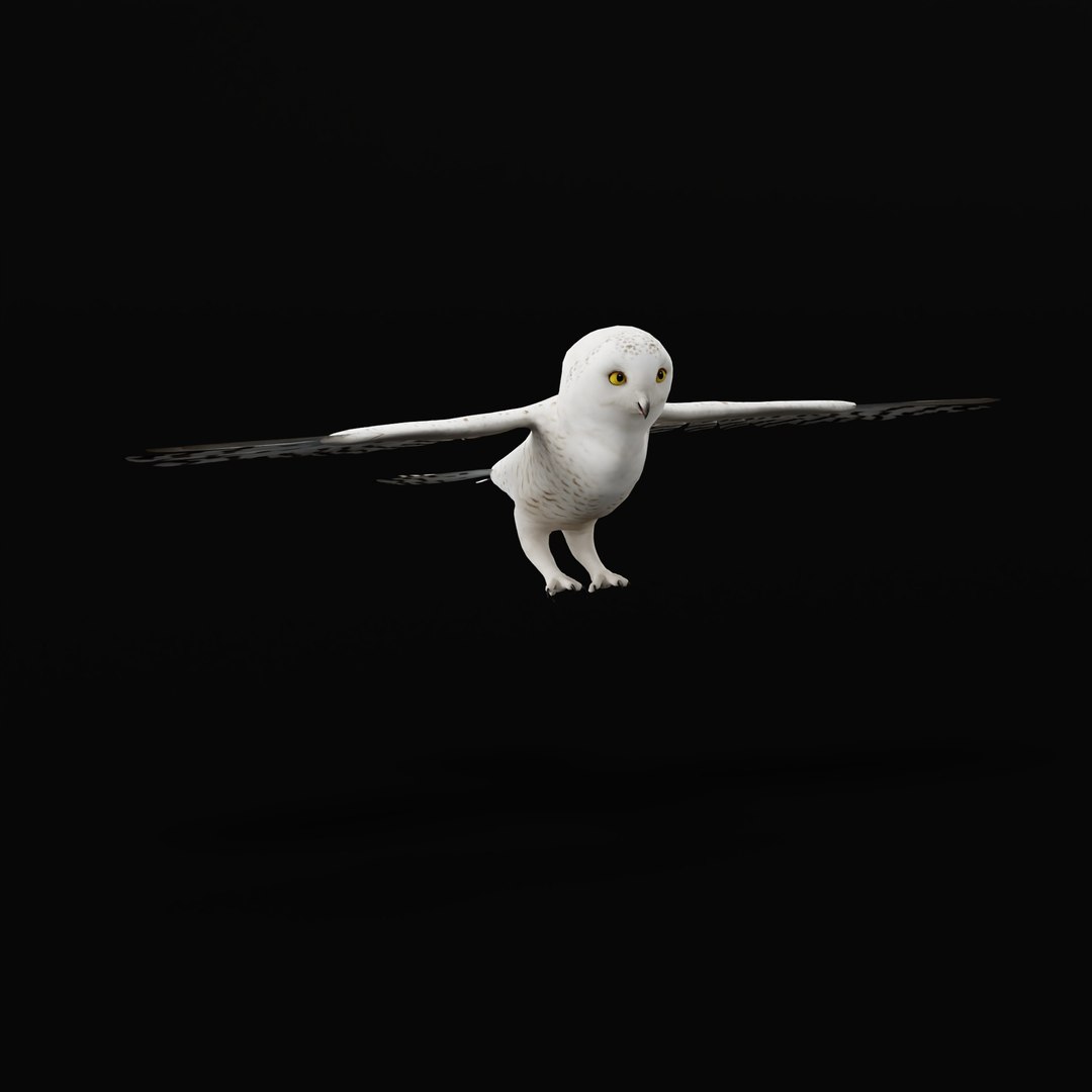 Snowy Owl 3D model https://p.turbosquid.com/ts-thumb/0o/adAI8F/TB/snowyowlarmature_0006/jpg/1765278299/1920x1080/fit_q87/09893714380a16b2d8c857e5140a281d07d3074a/snowyowlarmature_0006.jpg