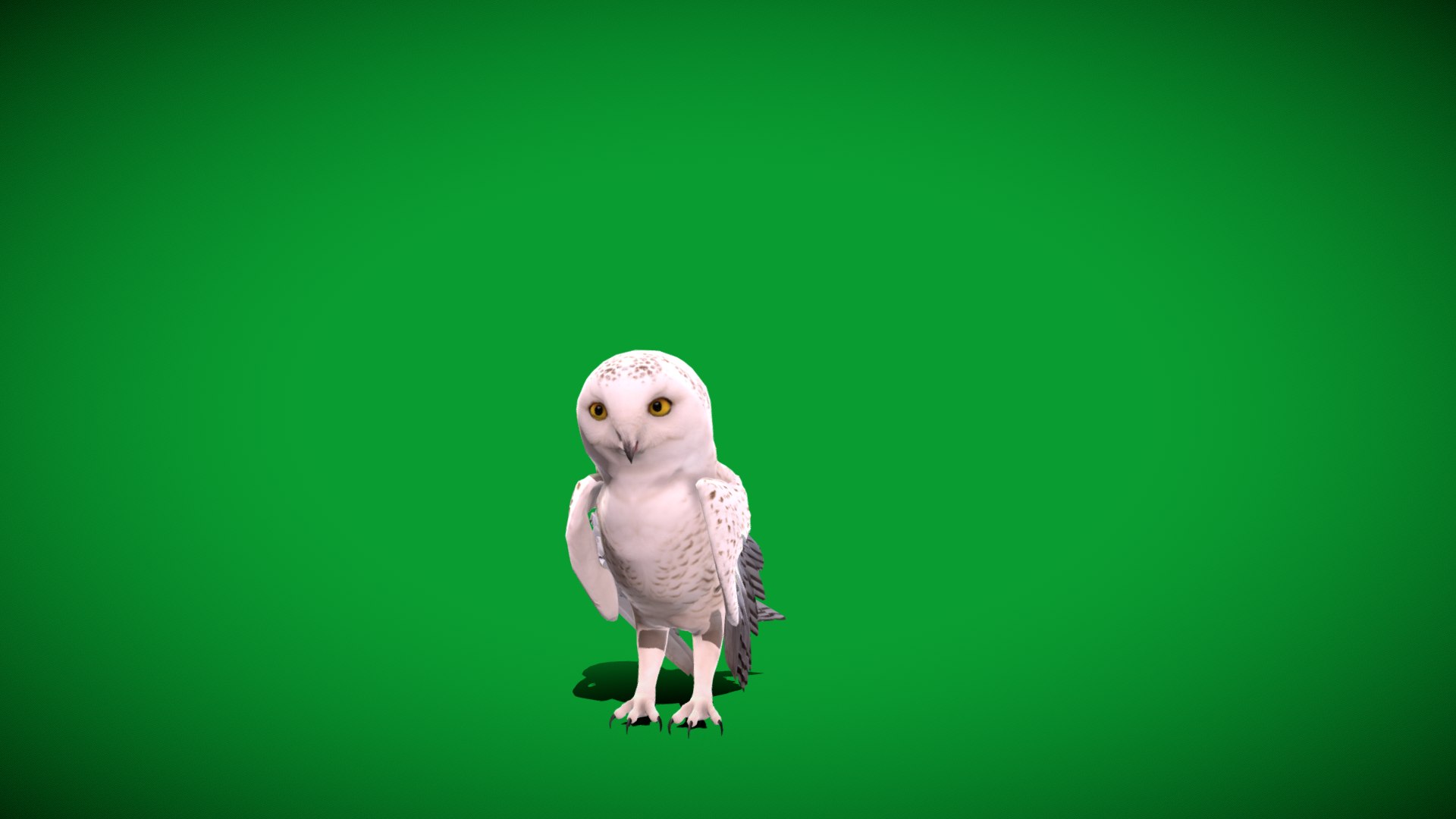 Snowy Owl 3D model https://p.turbosquid.com/ts-thumb/0o/adAI8F/eA/snowy_polar_owl_bird1/png/1765278648/1920x1080/fit_q87/aa48b6ff006cc03582f08aacb3cef7356af2f548/snowy_polar_owl_bird1.jpg