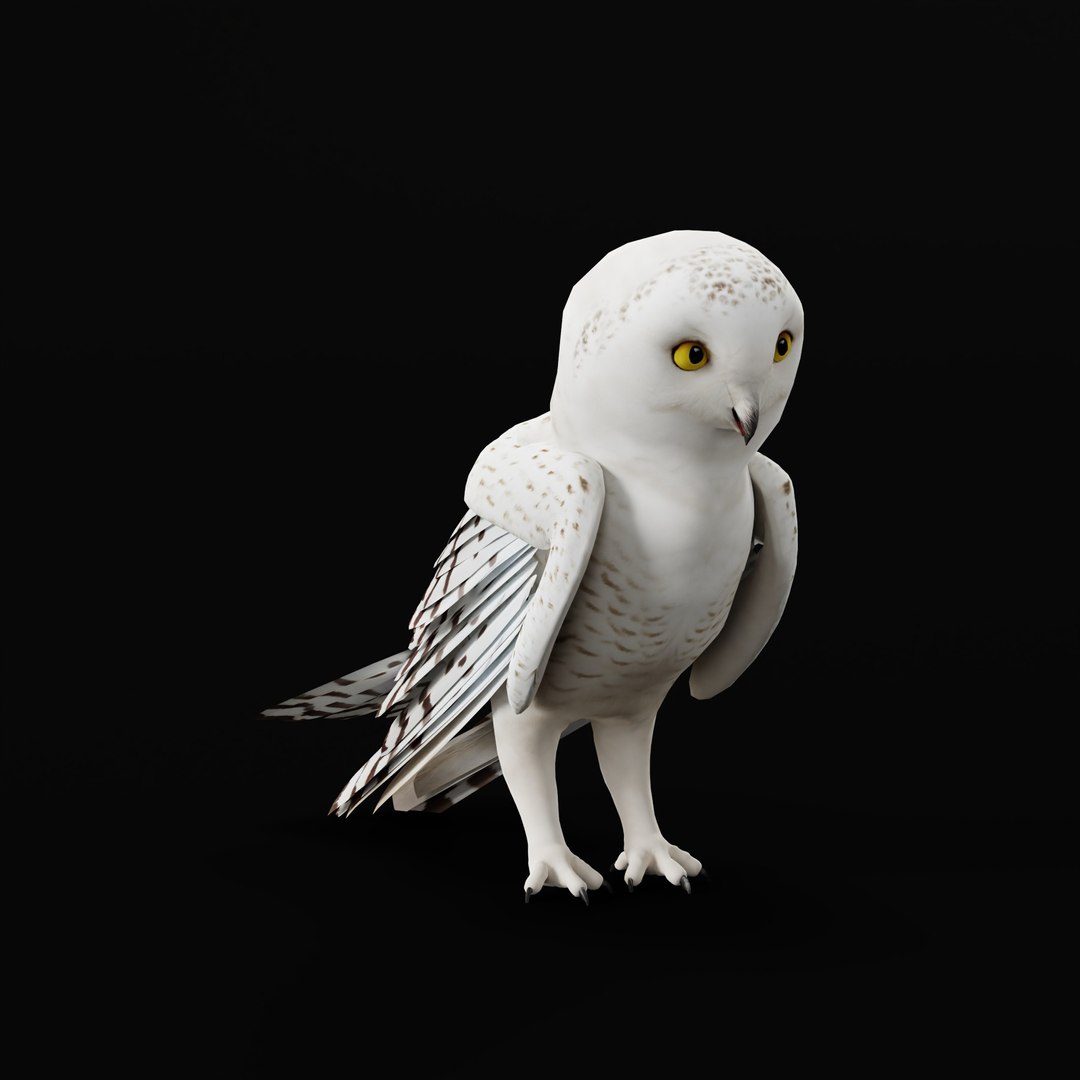 Snowy Owl 3D model https://p.turbosquid.com/ts-thumb/0o/adAI8F/pL/snowyowlarmature/jpg/1765278294/1920x1080/fit_q87/442407e27f8c2361dca0768c05a3049e5767d5e6/snowyowlarmature.jpg