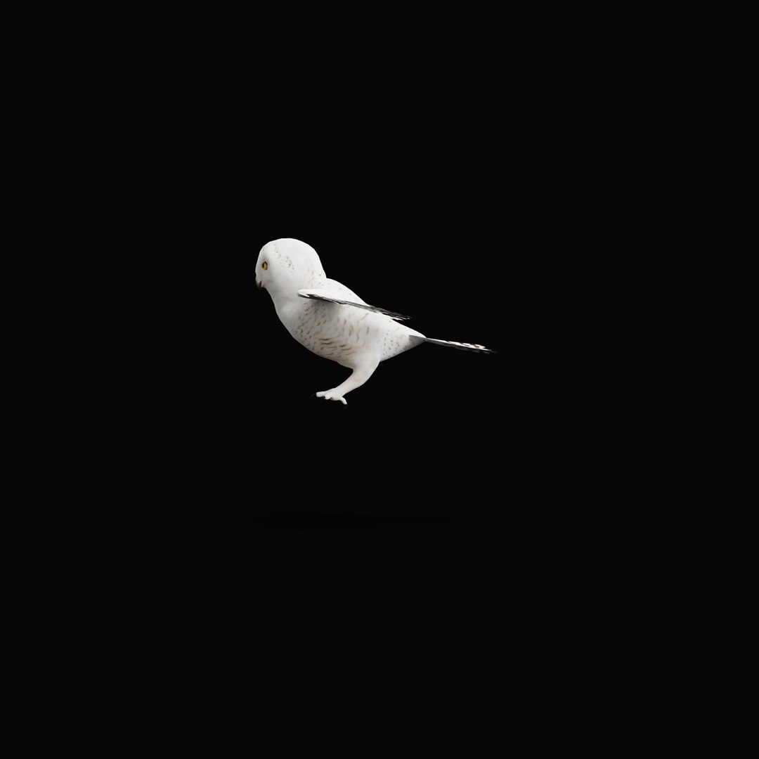 Snowy Owl 3D model https://p.turbosquid.com/ts-thumb/0o/adAI8F/yo/snowyowlarmature_0004/jpg/1765278298/1920x1080/fit_q87/cc68d01a16a306a43818919ba7f94e8375ef14b5/snowyowlarmature_0004.jpg