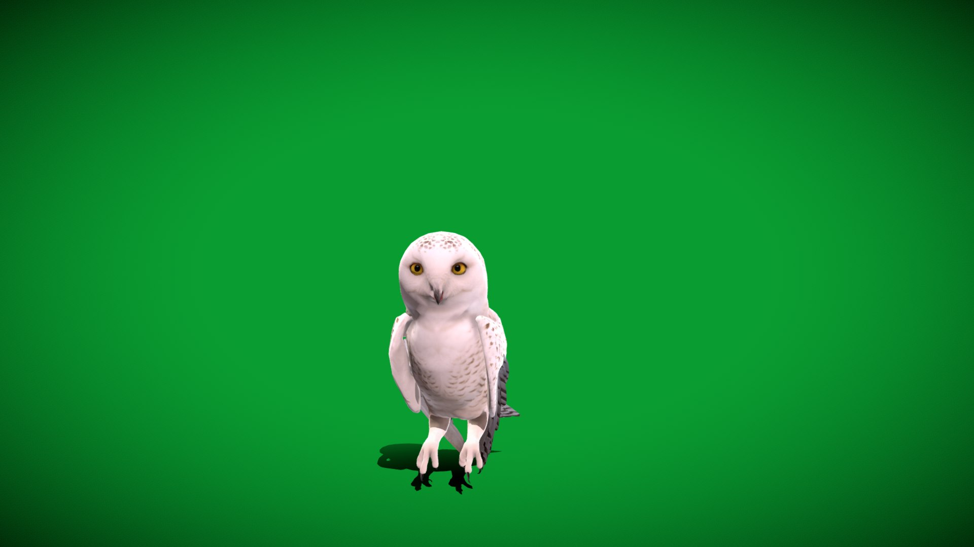Snowy Owl 3D model https://p.turbosquid.com/ts-thumb/0o/adAI8F/yv/snowy_polar_owl_bird/png/1765278662/1920x1080/fit_q87/07a14eb77b20da6e2f95d45feca945ed7c4cd587/snowy_polar_owl_bird.jpg