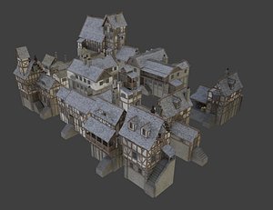 Medieval Houses