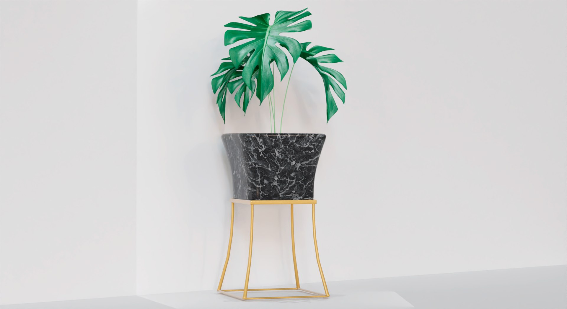 3D Philodendron flower pot model https://p.turbosquid.com/ts-thumb/0o/bAdwl7/dn/planta1980/png/1639000077/1920x1080/fit_q87/17f45a7f35bff8498964239ca8a48fc8164cadc3/planta1980.jpg