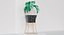 Philodendron-Blumentopf