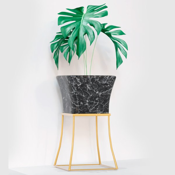 3D Philodendron flower pot model