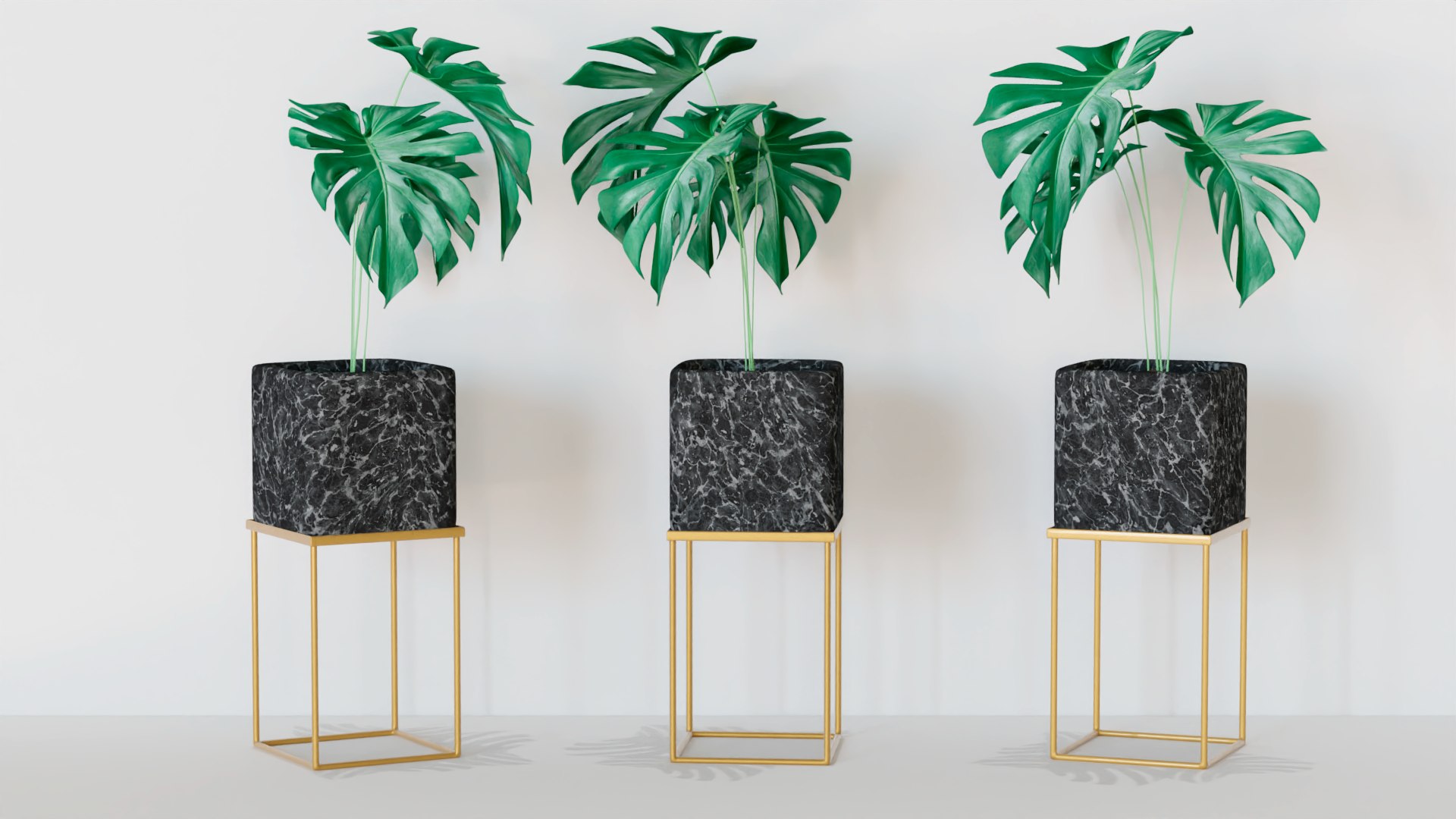 3D Philodendron flower pot model https://p.turbosquid.com/ts-thumb/0o/bAdwl7/rU/hgf/png/1639000080/1920x1080/fit_q87/4a4e41d0a15e0afb3f3c6ec05c7ec3bbdc2641e1/hgf.jpg