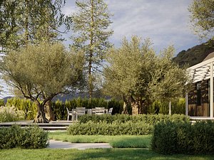 Olive Tree Collection - Include GrowFX and Mesh file