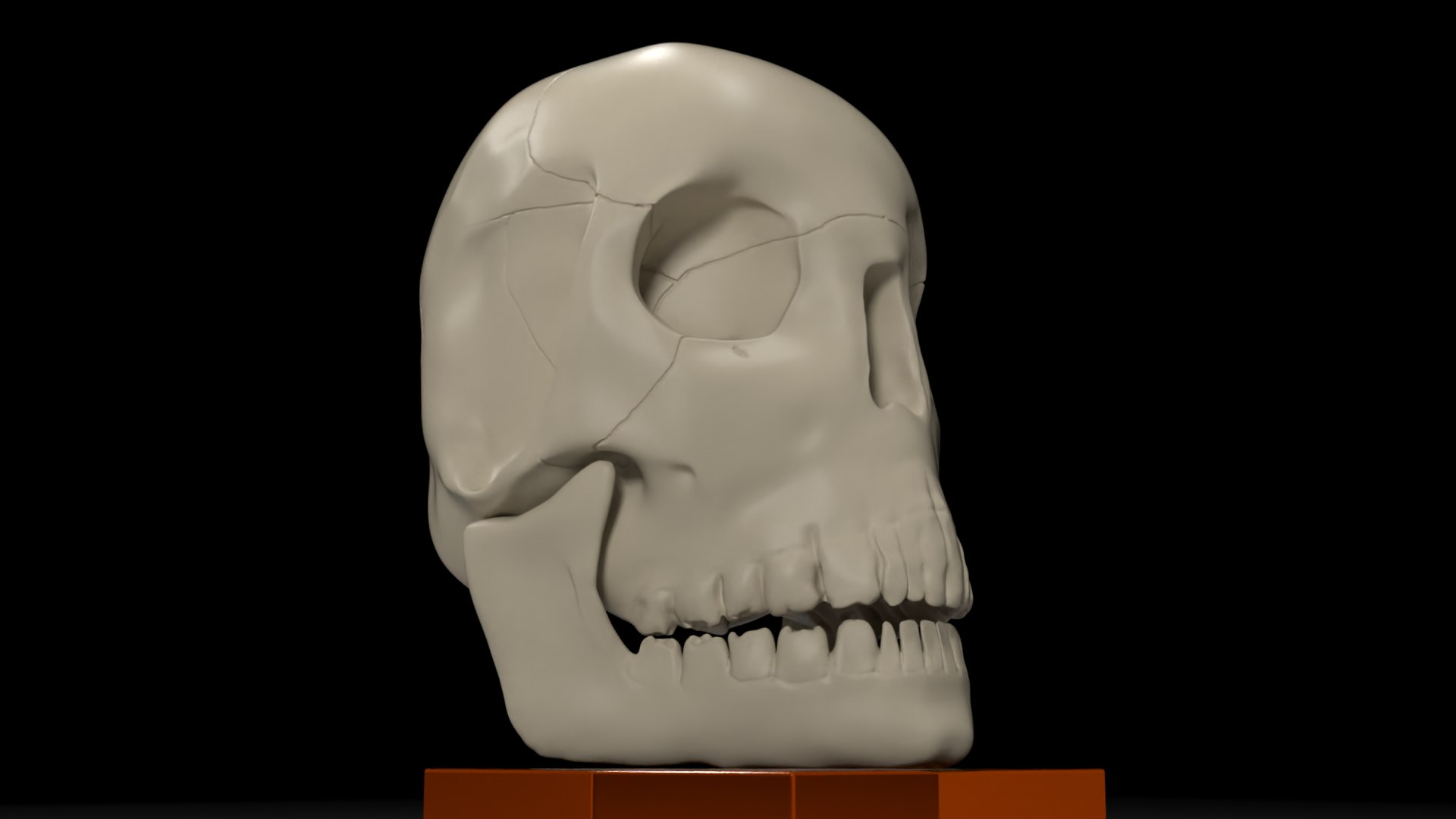 skull jaw 3D model https://p.turbosquid.com/ts-thumb/0o/gFXIkQ/0L/13/png/1609714164/1920x1080/fit_q87/2a58809fc8cc905447da0ae516ffb5e23037efe3/13.jpg