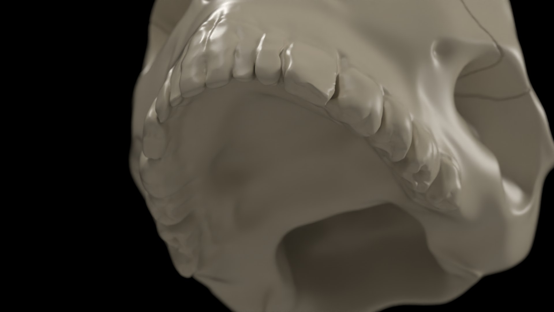 skull jaw 3D model https://p.turbosquid.com/ts-thumb/0o/gFXIkQ/7f/21/png/1609714442/1920x1080/fit_q87/e0d44cf3bb3dd683f114e6dd7c9dbd91e56828a7/21.jpg
