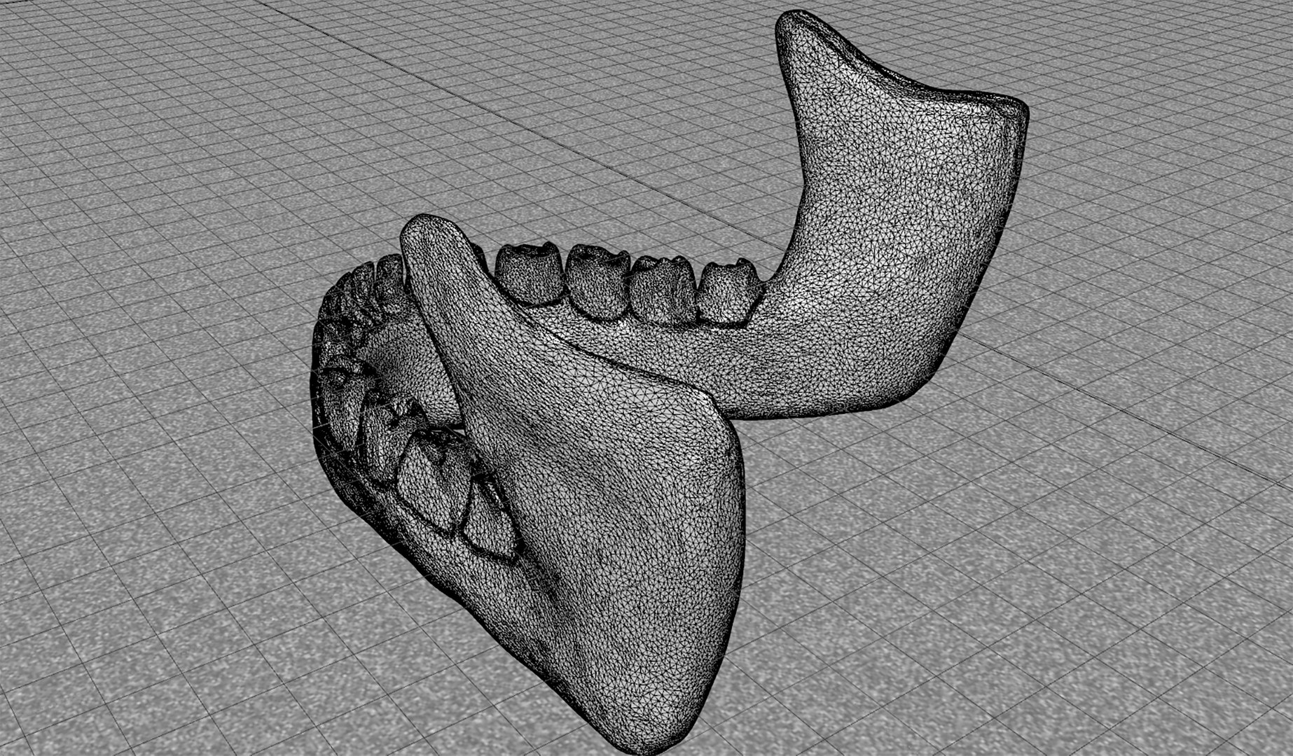 skull jaw 3D model https://p.turbosquid.com/ts-thumb/0o/gFXIkQ/Am/w7/png/1609717265/1920x1080/fit_q87/6a118d605bdca509f3825ee2352b9c2855f1ba11/w7.jpg