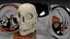 Cartoony skull with separated jaw