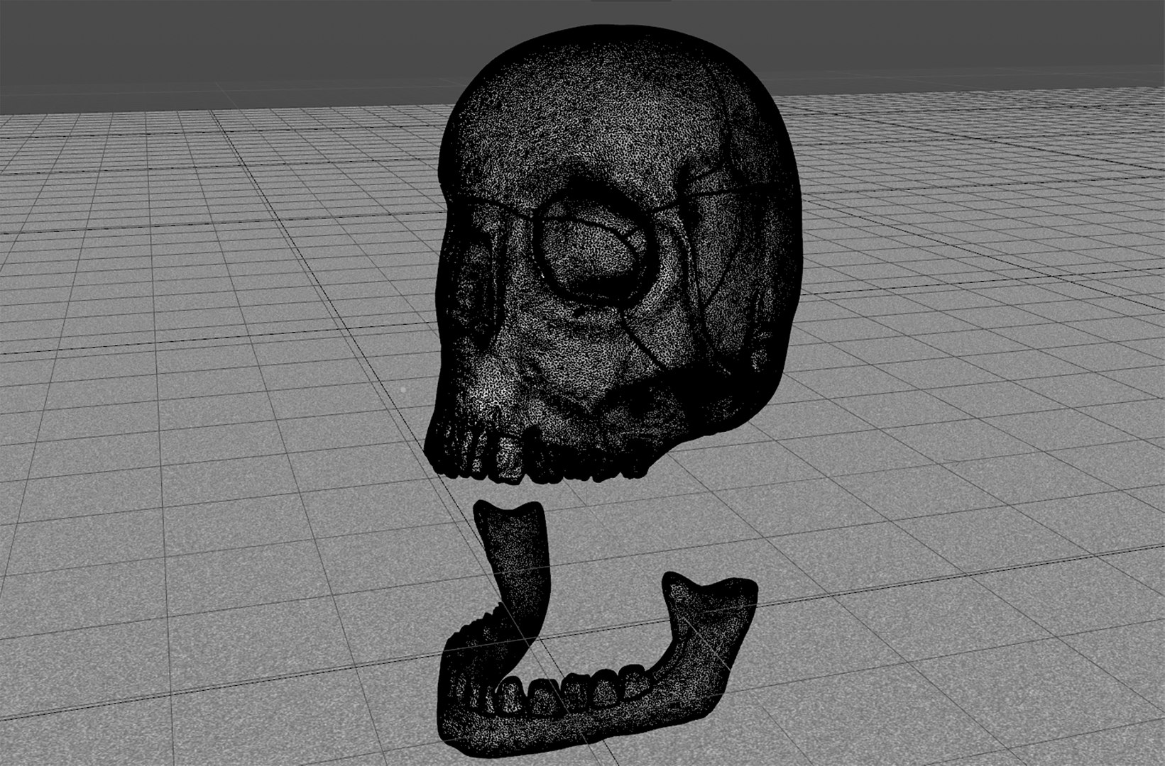 skull jaw 3D model https://p.turbosquid.com/ts-thumb/0o/gFXIkQ/JO/w6/png/1609717250/1920x1080/fit_q87/ce671230ca56ef047cc0c721bc0a31249769b845/w6.jpg