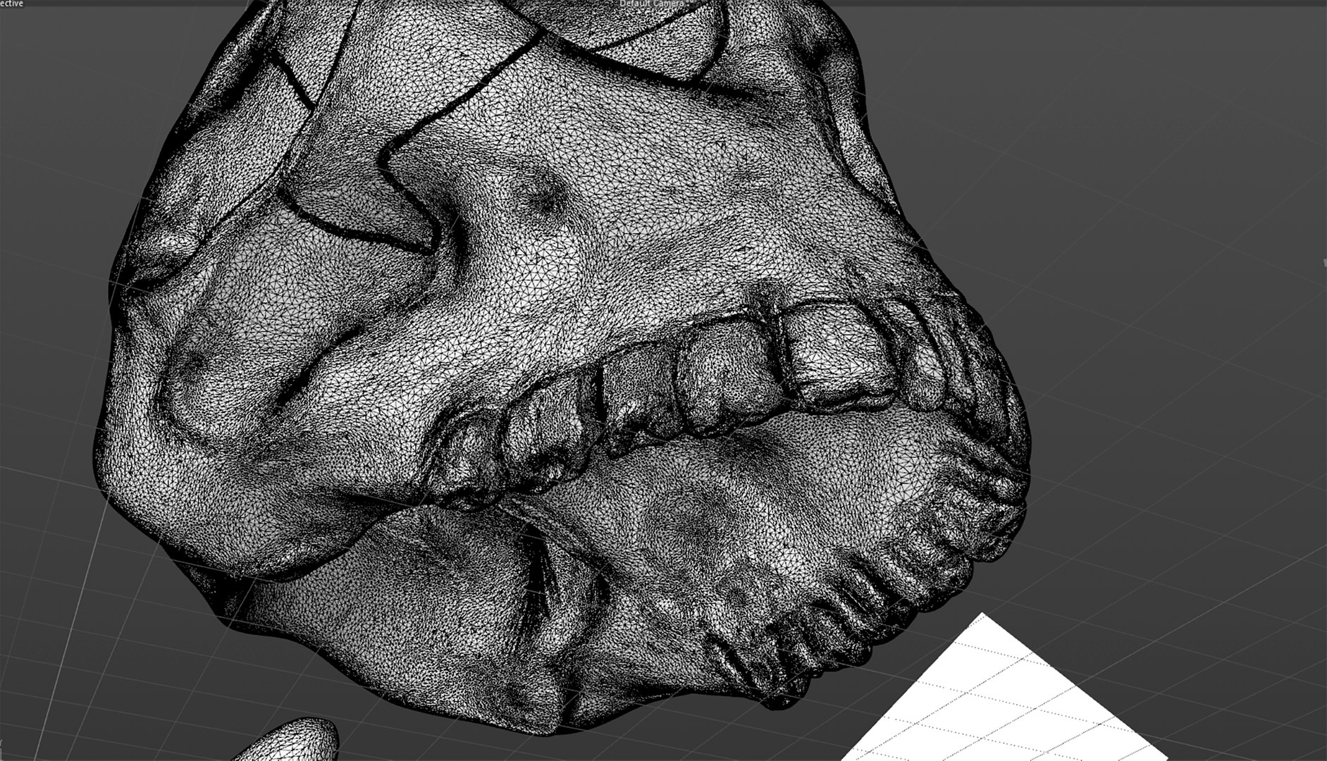 skull jaw 3D model https://p.turbosquid.com/ts-thumb/0o/gFXIkQ/LQ/w8/png/1609717265/1920x1080/fit_q87/af99644a728baa31b7150853d9787e9d7046e757/w8.jpg