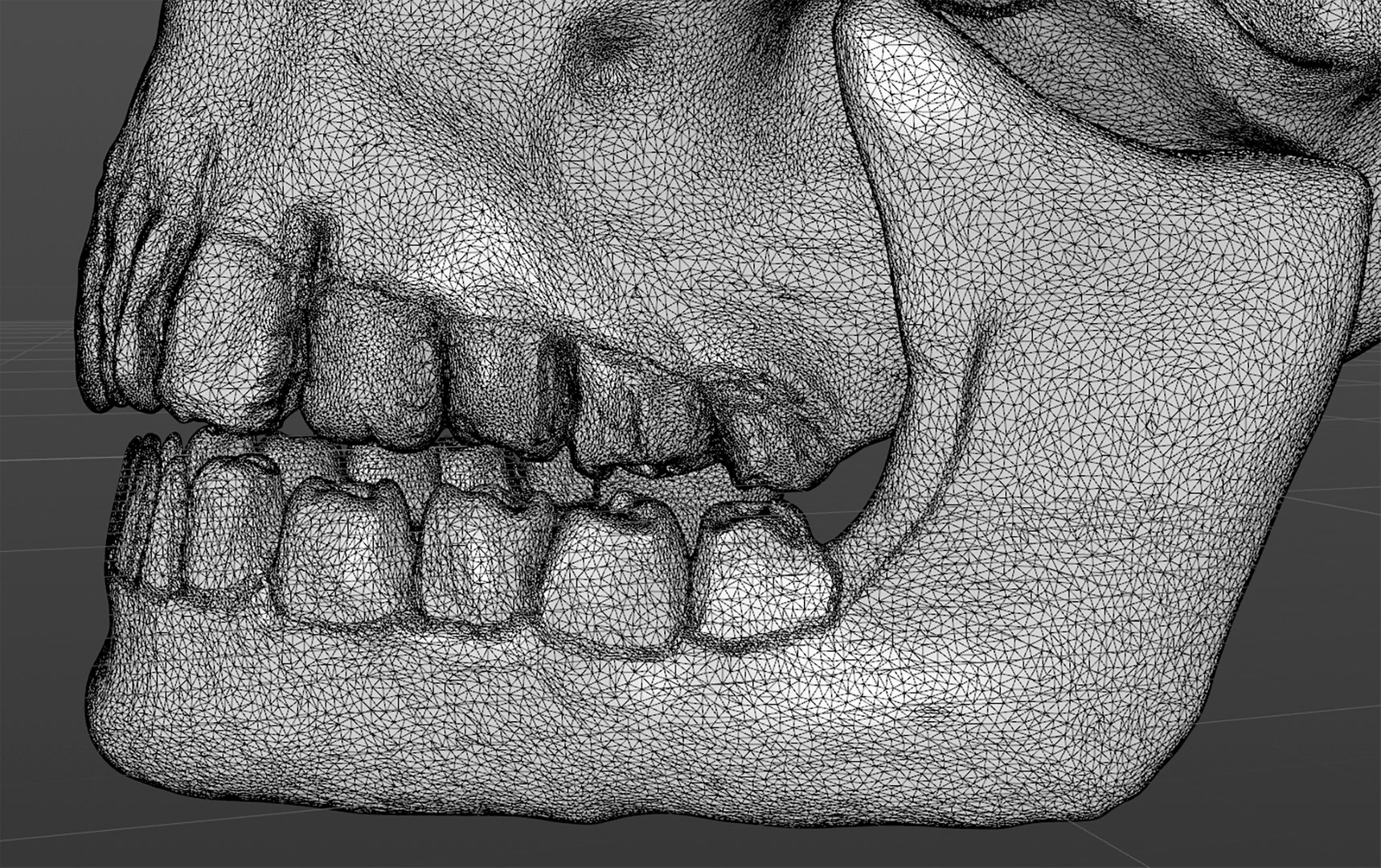 skull jaw 3D model https://p.turbosquid.com/ts-thumb/0o/gFXIkQ/g9/w4/png/1609717237/1920x1080/fit_q87/ec51158aacc544cdbeaf05beb5eab7c6b6c54404/w4.jpg