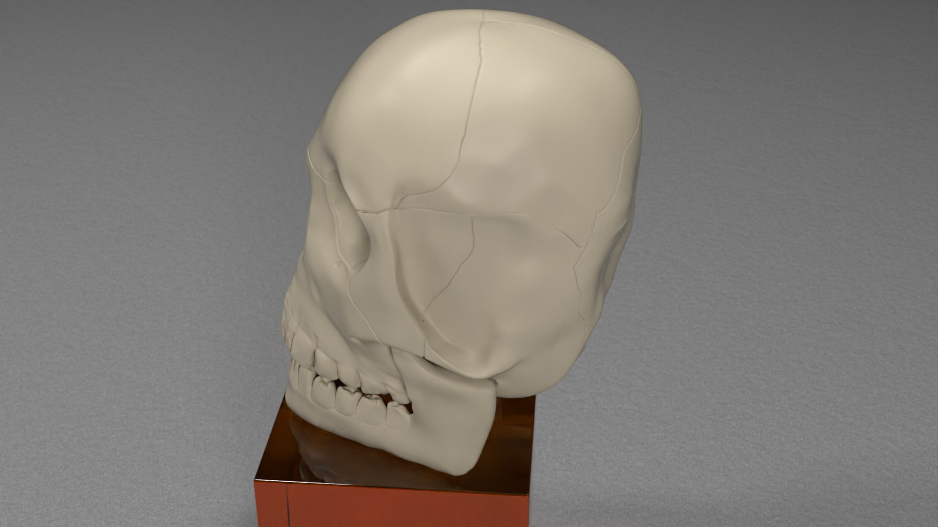 skull jaw 3D model https://p.turbosquid.com/ts-thumb/0o/gFXIkQ/o8/3/png/1609714062/1920x1080/fit_q87/4b1897ef7178a845c1770989636462df939b73ca/3.jpg