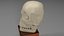 Cartoony skull with separated jaw