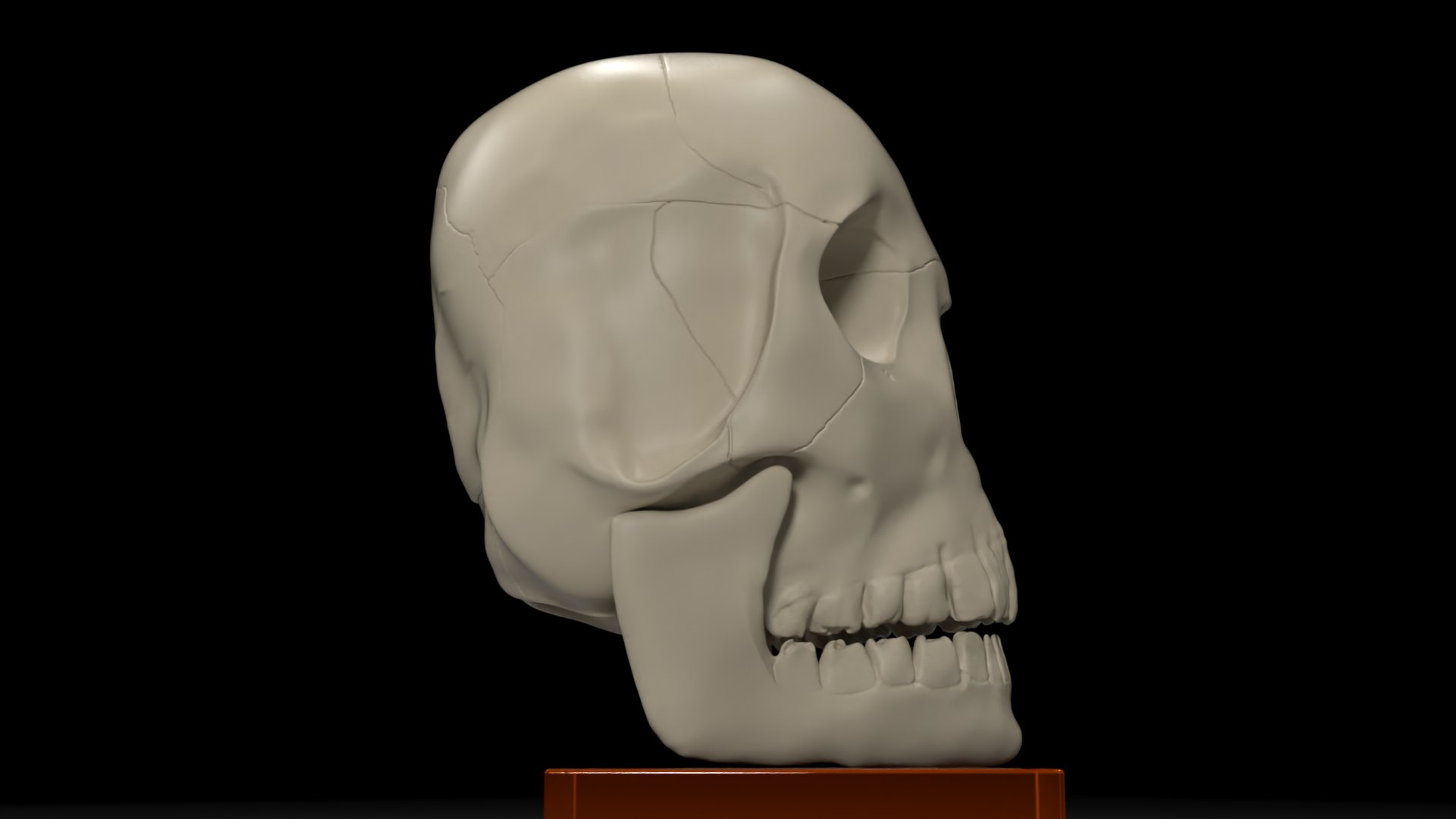 skull jaw 3D model https://p.turbosquid.com/ts-thumb/0o/gFXIkQ/t6/11/png/1609714118/1920x1080/fit_q87/8386cca2c1af404a05447b264a85c6d60bde026e/11.jpg