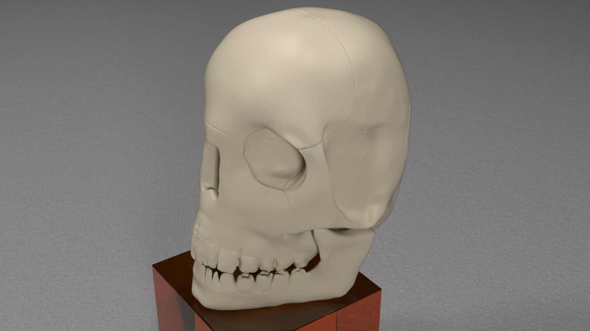 skull jaw 3D model https://p.turbosquid.com/ts-thumb/0o/gFXIkQ/x9/skull/png/1609714840/1920x1080/fit_q87/cabee25d44758963c2aa3bd587602a8a06188247/skull.jpg