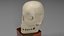 Cartoony skull with separated jaw