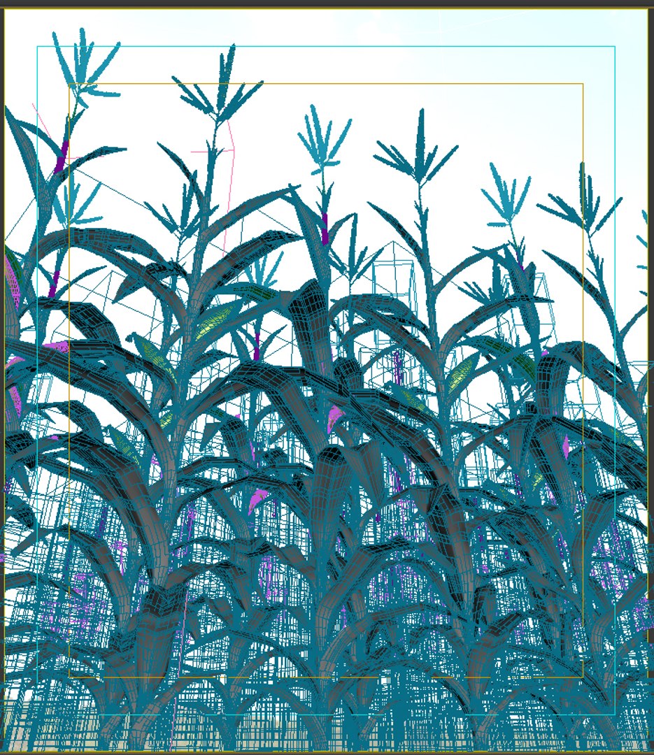 Corn Field 3d Model