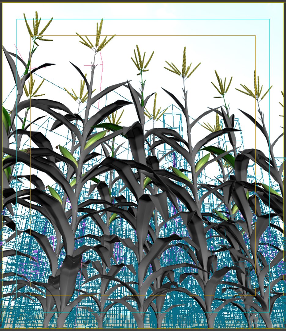Corn Field 3d Model