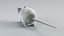 Laboratory Rat Static Xgen
