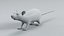 Laboratory Rat Static Xgen