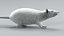 Laboratory Rat Static Xgen