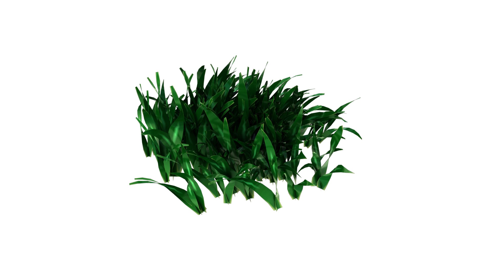 3D Realistic Grass Collections - TurboSquid 1995929