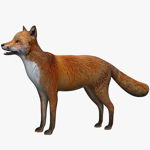 3D Fox Body