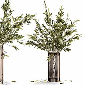 Olive stems in modern vase 3D