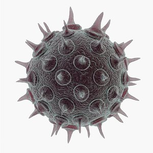 Varicella Zoster Virus