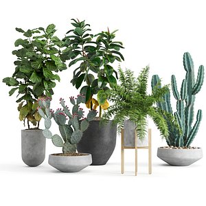 3D model set indoor plants