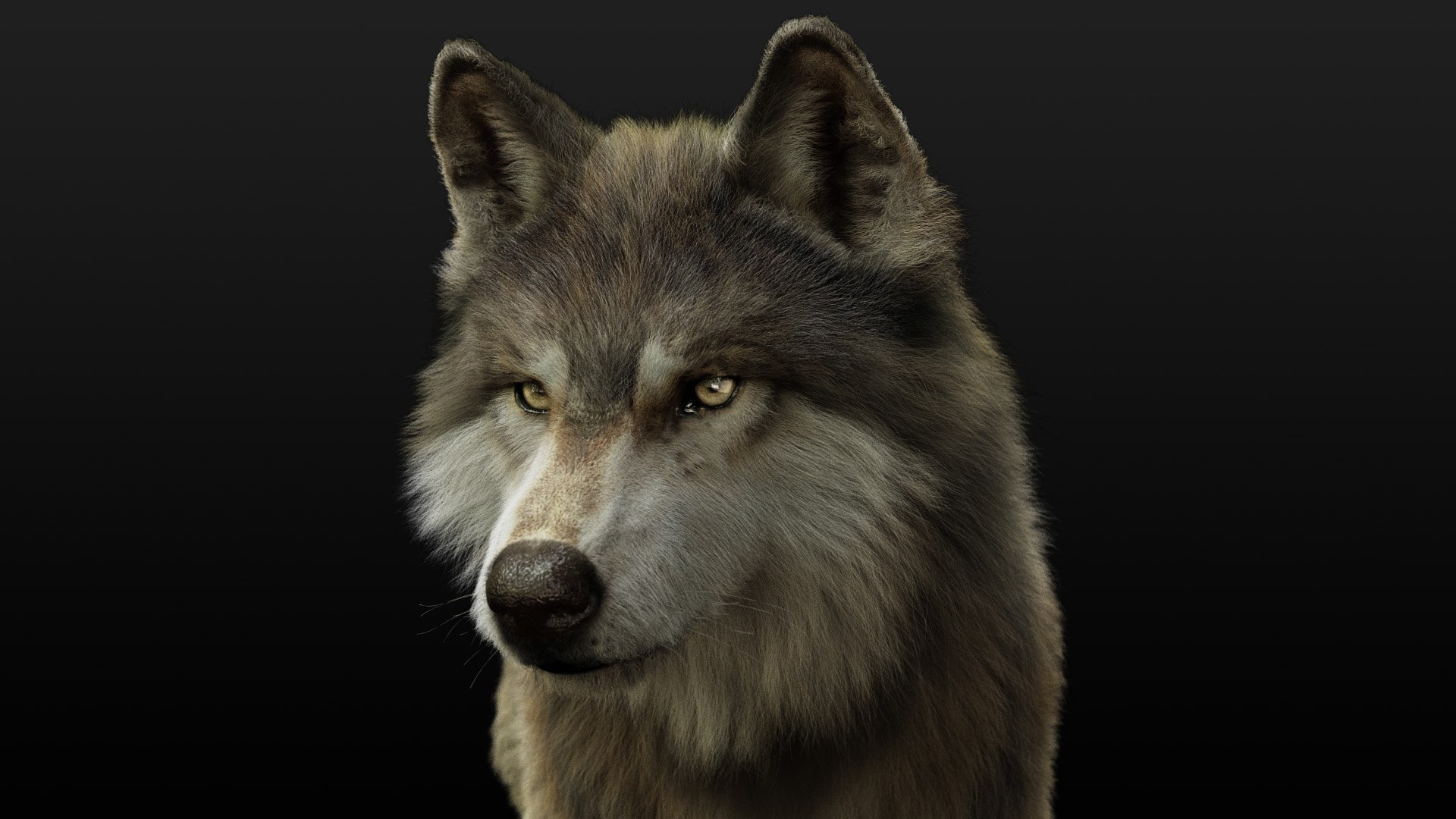 3D model wolf xgen rigged https://p.turbosquid.com/ts-thumb/0p/Gs4Gyg/RdQxg3KR/ts08/jpg/1587892237/1920x1080/fit_q87/0e13cf8954d29b6d2de56f3c2976e3aec64b82d9/ts08.jpg