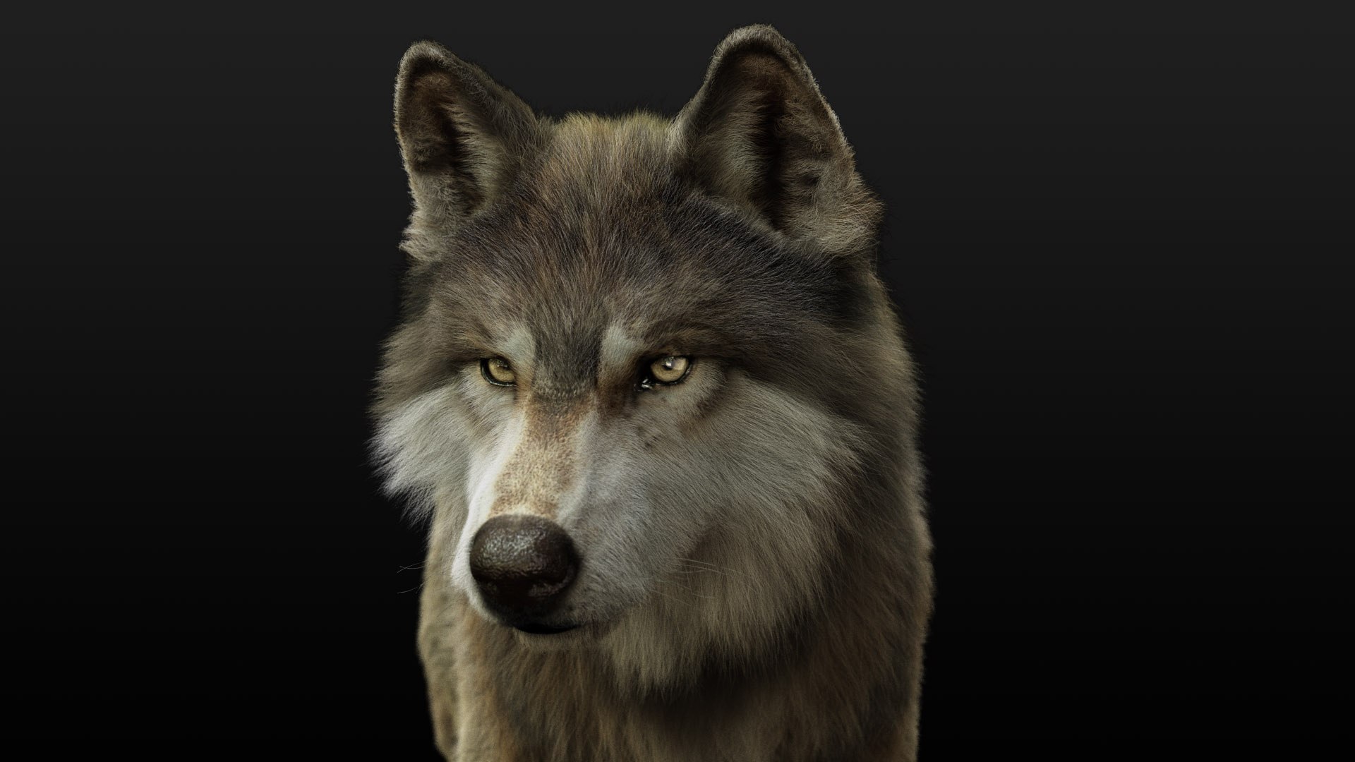 3D model wolf xgen rigged https://p.turbosquid.com/ts-thumb/0p/Gs4Gyg/erTd1q32/ts06/jpg/1587888967/1920x1080/fit_q87/a6163603db069d0370e80ddc80122ec3f5567ce7/ts06.jpg