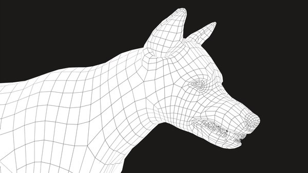 modelo 3d Wolf RIG XGEN - TurboSquid 1548295