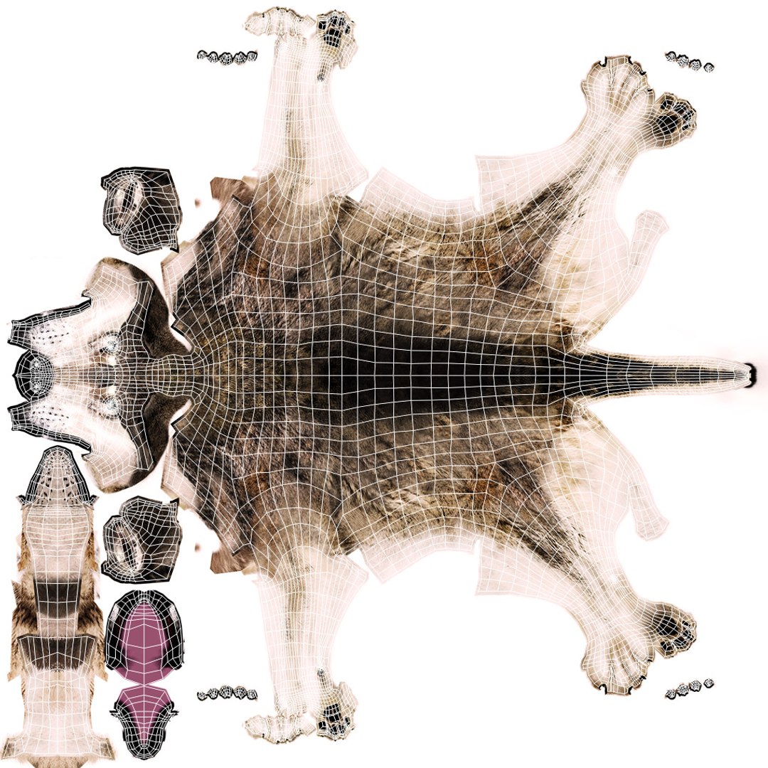 3D model wolf xgen rigged https://p.turbosquid.com/ts-thumb/0p/Gs4Gyg/zVAcB6sl/map/jpg/1587889210/1920x1080/fit_q87/185f58d31ebf21033e895919a944a797c1d3805c/map.jpg